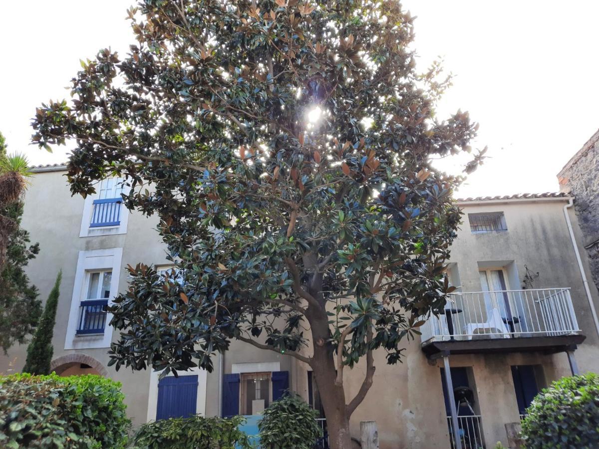 Appartement De Charme Sur Le Port De Marseillan מראה חיצוני תמונה